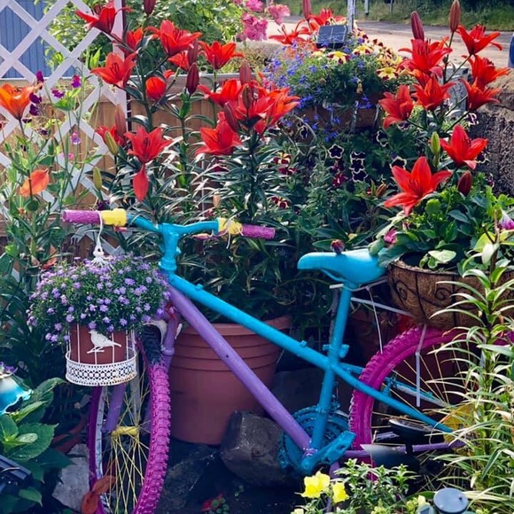 Meet your Posher, Galway Girl☘️POSH Ambassador☘️ - Picture 4 of 6